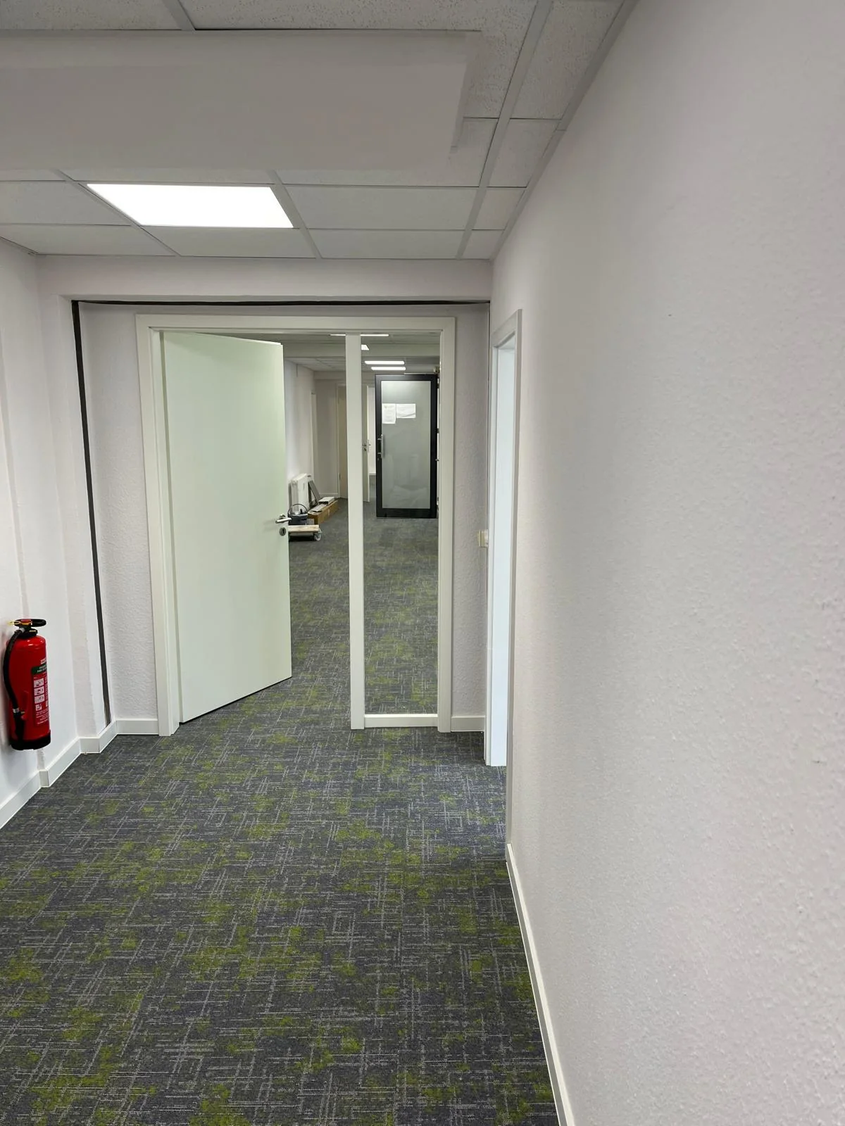 Büroflur mit Glastüren, weißen Wänden und Teppichfliesen
