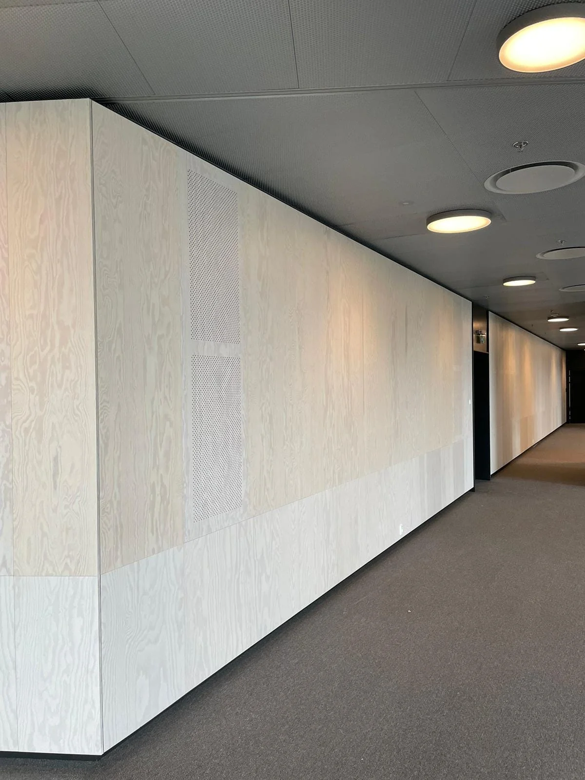 Lange helle Akustikwand unter einer dunklen Decke mit runden Leuchten